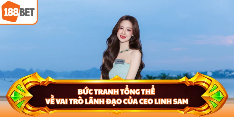 Bức tranh tổng thể về vai trò lãnh đạo của CEO Linh Sam